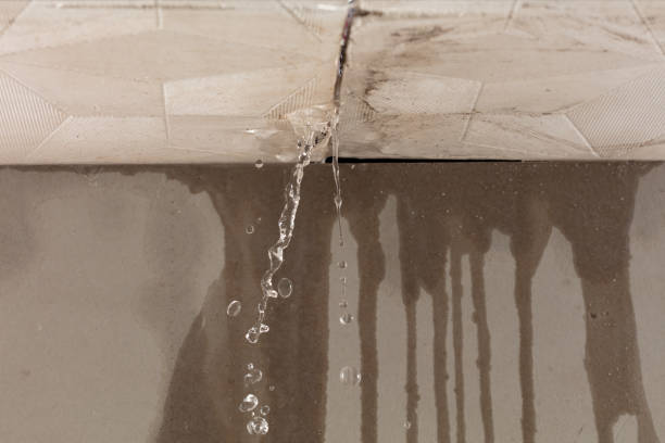 Professional Structural Drying technician working in Clinton, WA